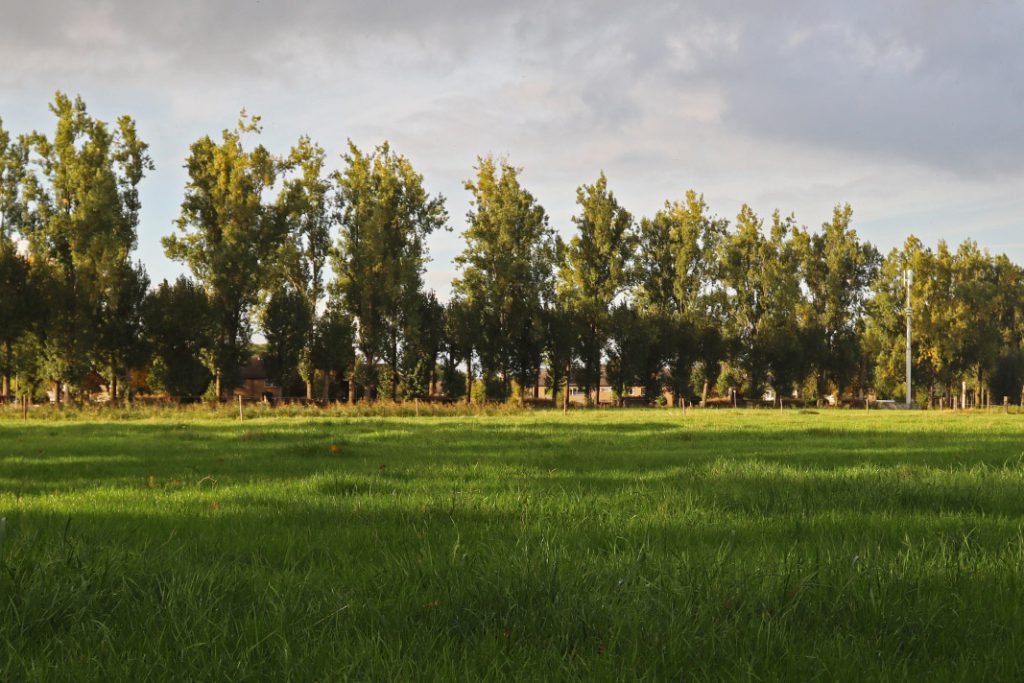 Wind in de rug  voor Noodplan Bouwen VVD